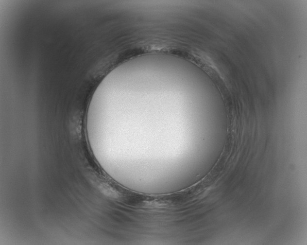 X0000070250545200606021001