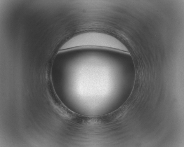 X0000070250546200606021001