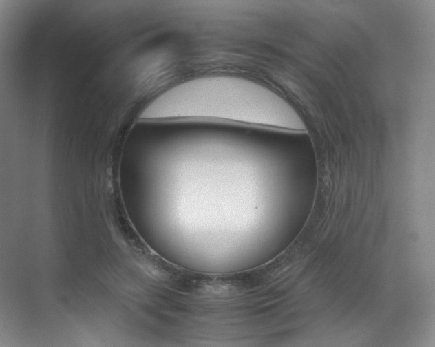 X0000070250547200606021001