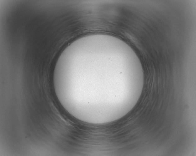 X0000070250548200606021001