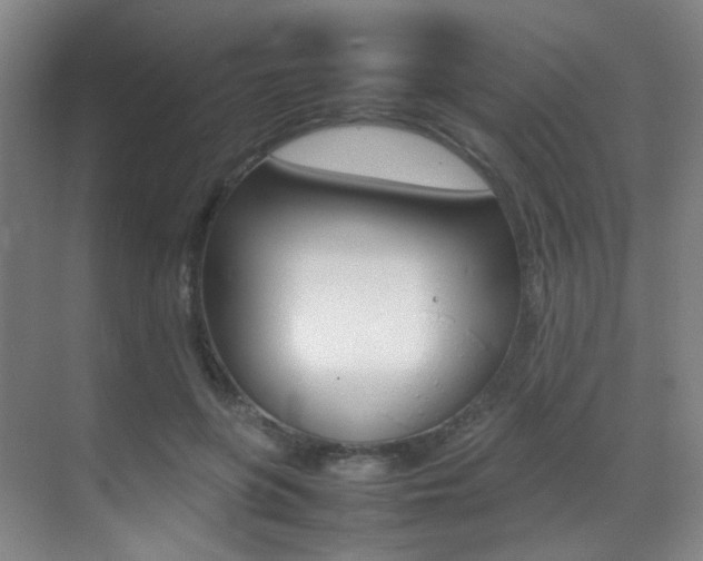 X0000070250551200606021001