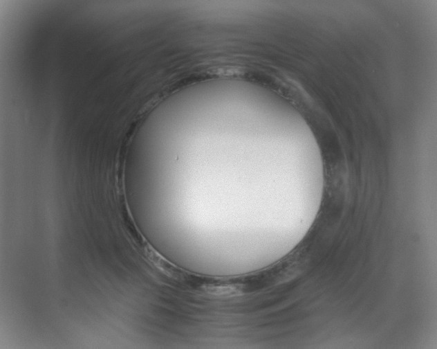 X0000070250553200606021001