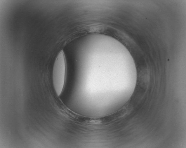 X0000070250554200606021001