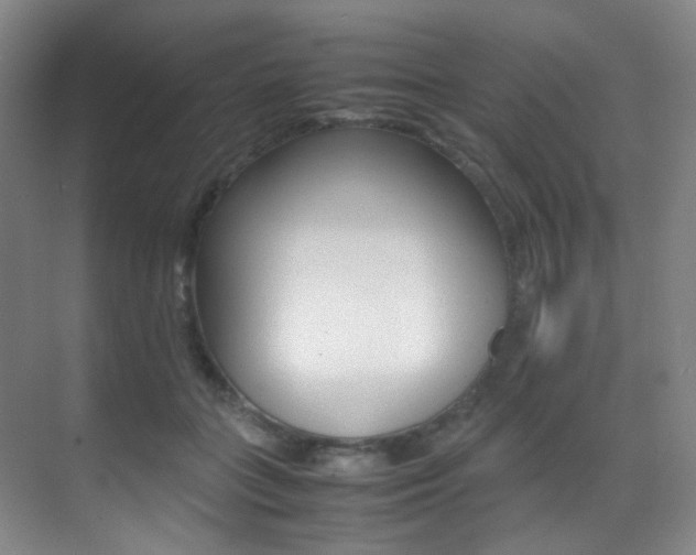 X0000070250555200606021001