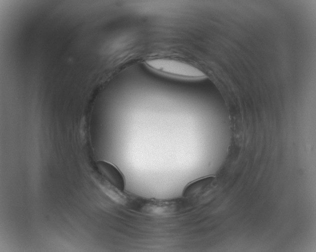 X0000070250563200606021001