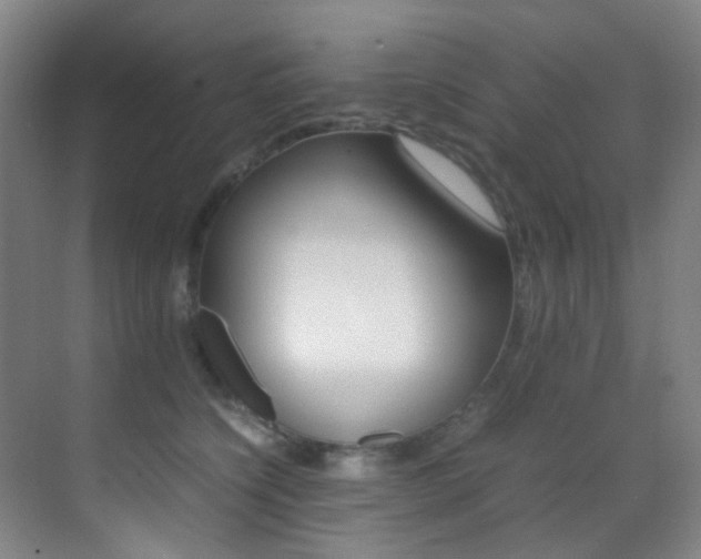 X0000070250564200606021001