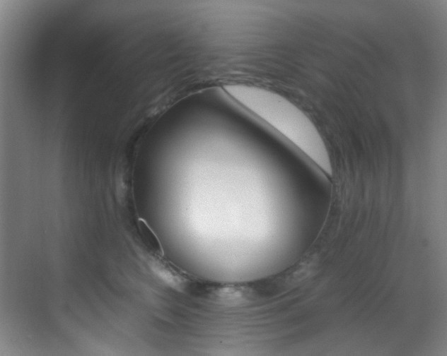 X0000070250566200606021001