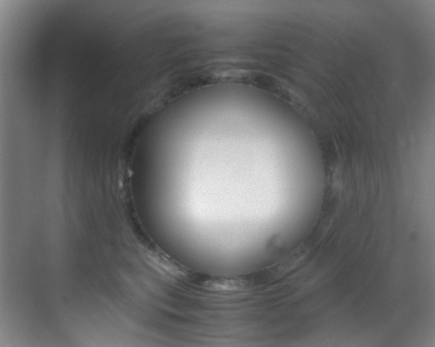 X0000070250567200606021001