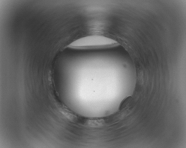 X0000070250571200606021002