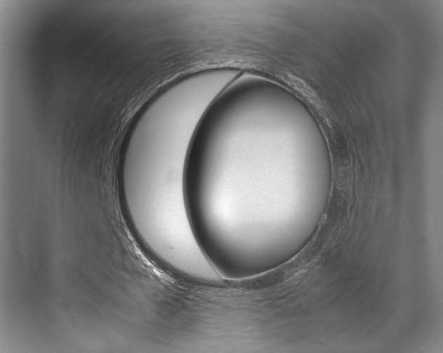 X0000070250577200606021001