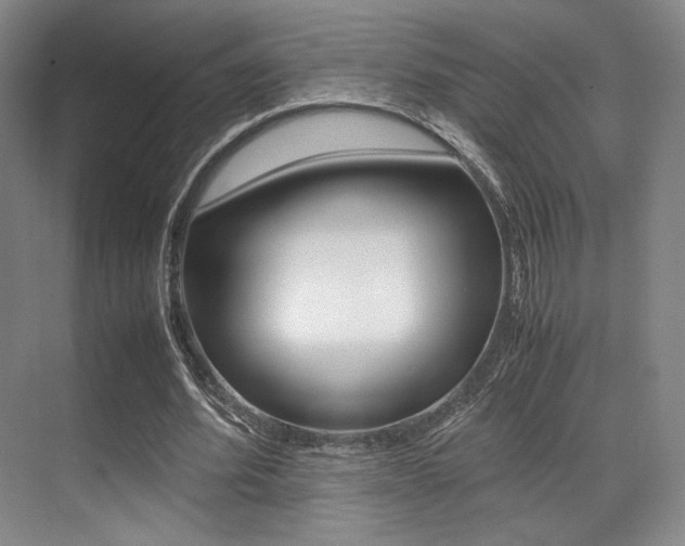 X0000070250580200606021001