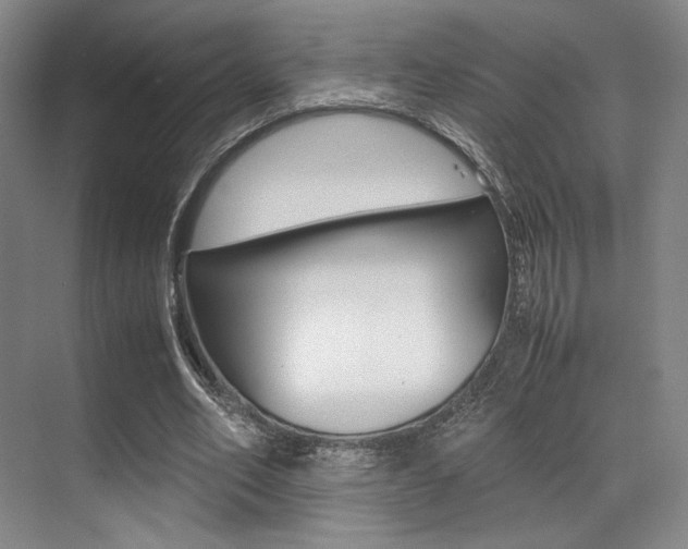 X0000070250582200606021001