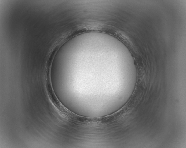 X0000070250586200606021001
