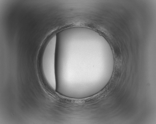 X0000070250587200606021001