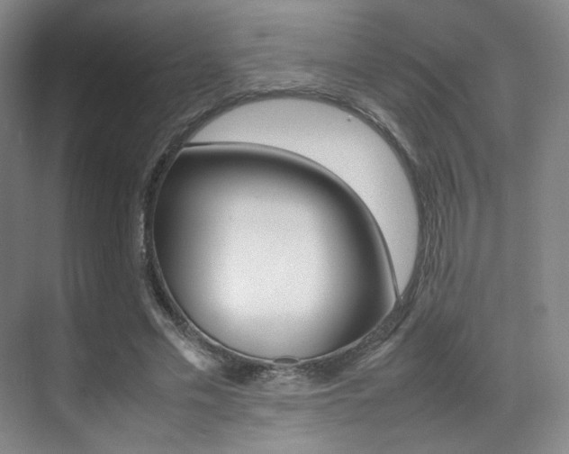X0000070250589200606021001