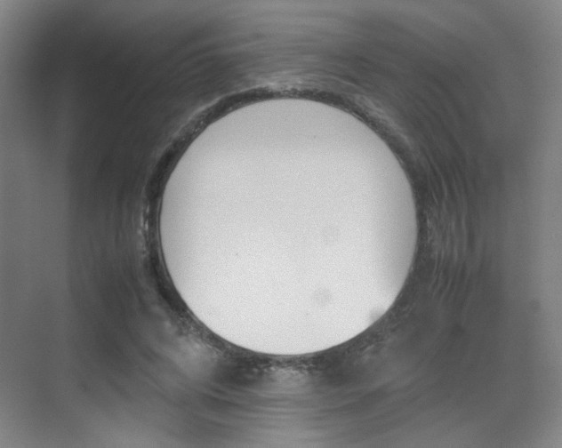 X0000070250592200606021001