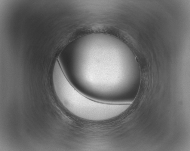 X0000070250593200606021001
