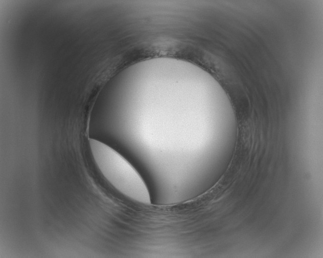 X0000070250594200606021001