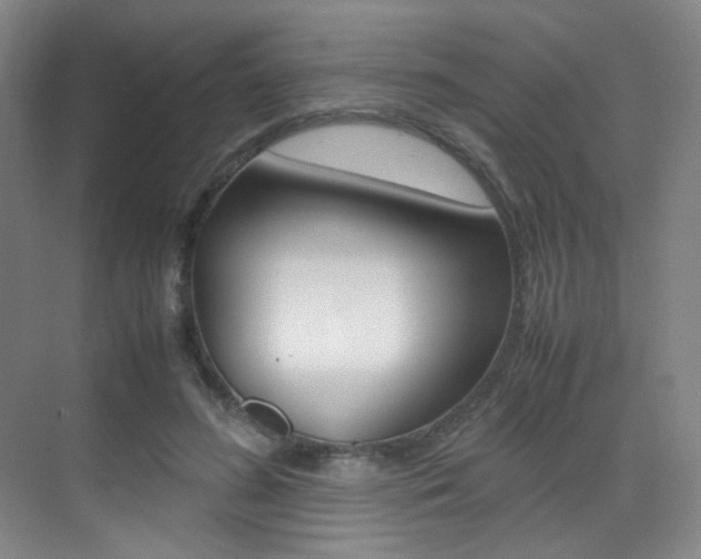X0000070250596200606021000