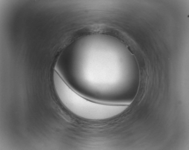 X0000070250601200606021000