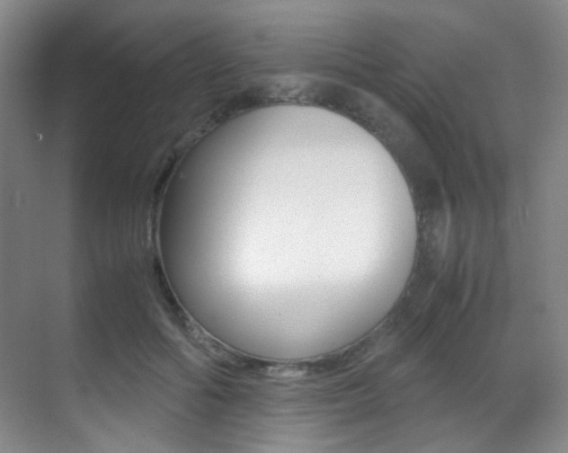X0000070250602200606021000