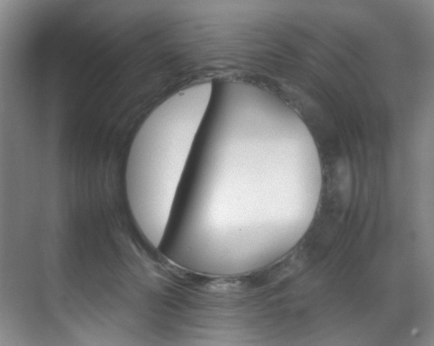 X0000070250606200606021000