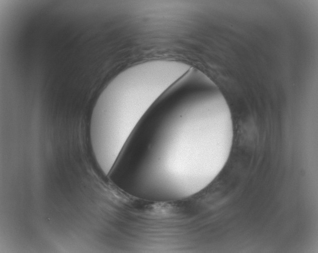X0000070250612200606021000