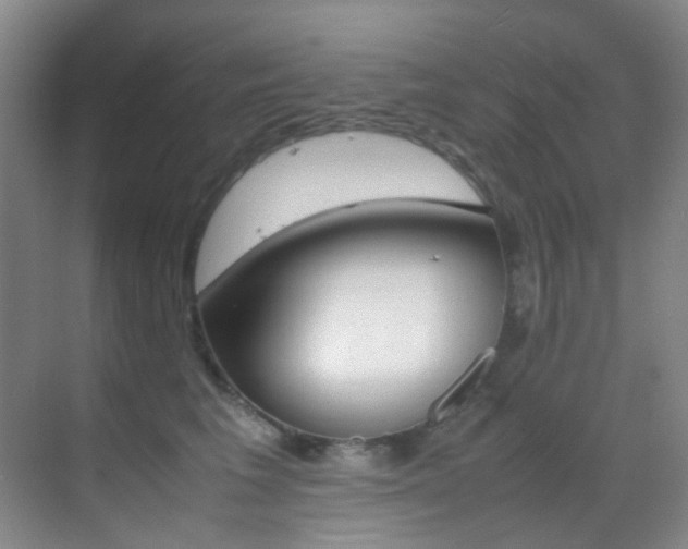 X0000070250613200606021000