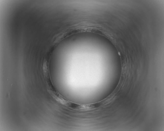 X0000070250623200606021000