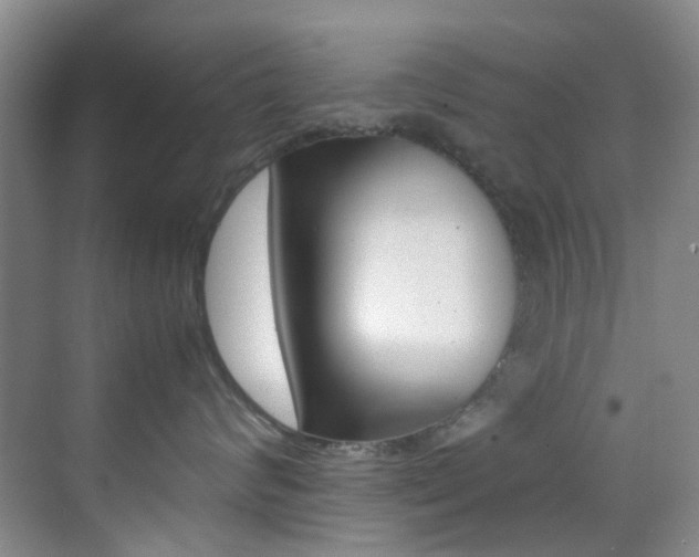 X0000070250624200606021000