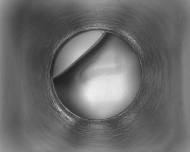 X0000070250625200606020959