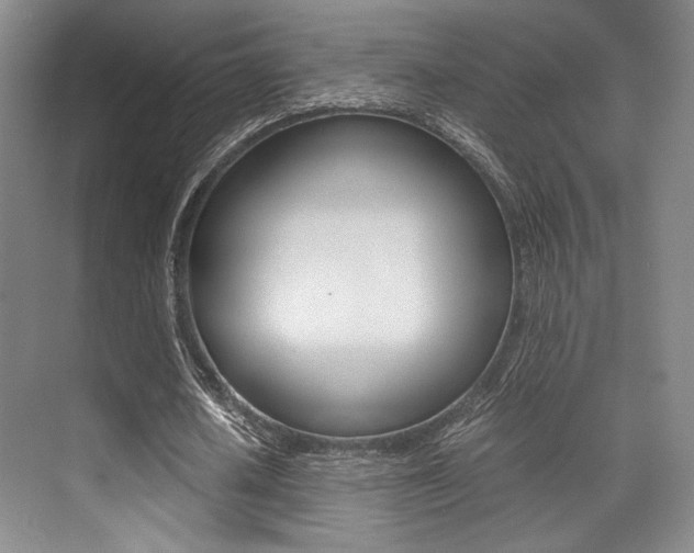 X0000070250626200606020959