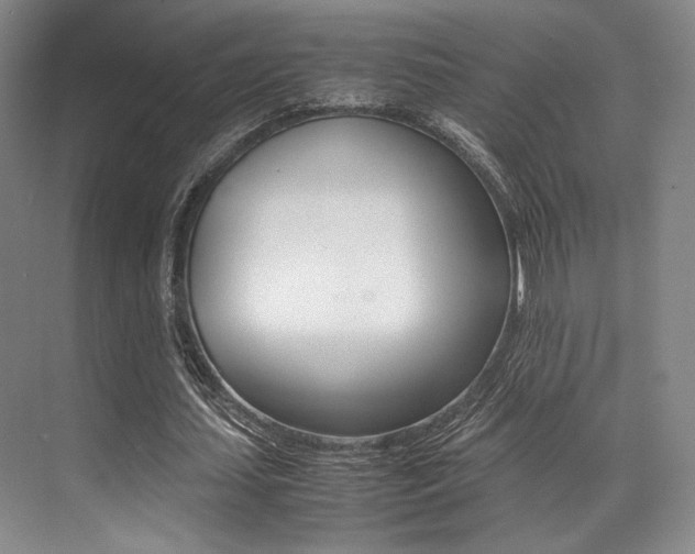 X0000070250627200606020959