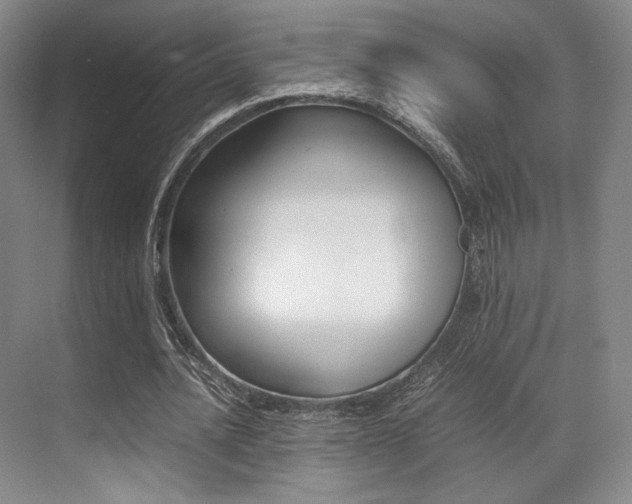 X0000070250628200606020959