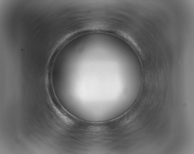 X0000070250629200606020959