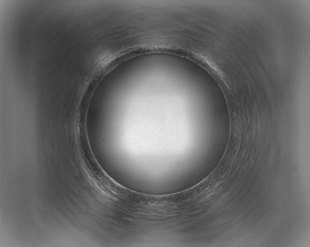 X0000070250631200606020959
