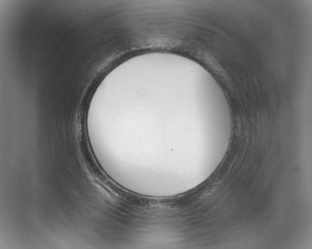 X0000070250632200606020959