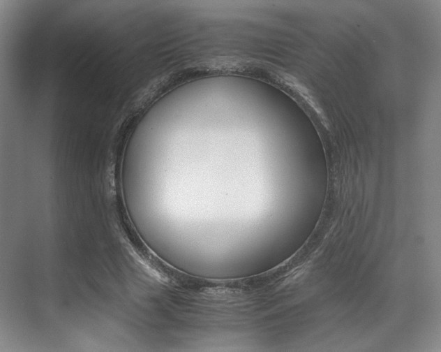 X0000070250633200606020959