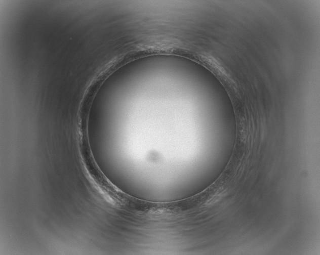 X0000070250634200606020959