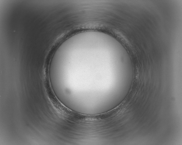 X0000070250636200606020959