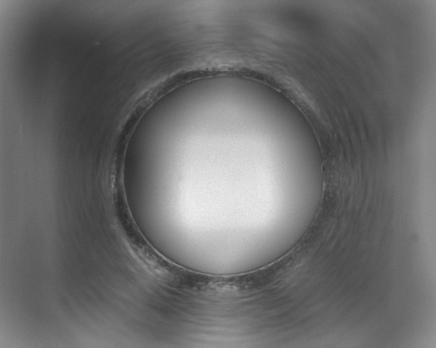 X0000070250640200606020959