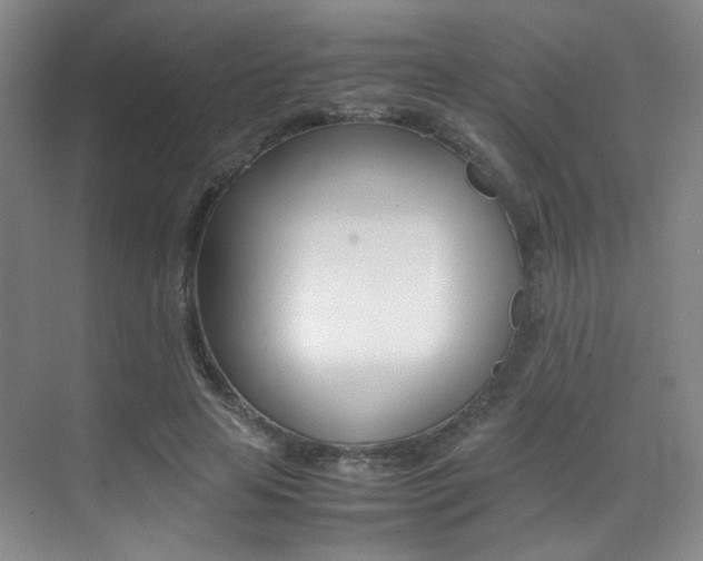 X0000070250641200606020959