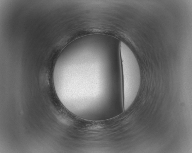 X0000070250643200606021000