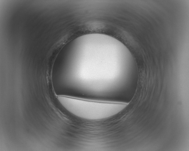 X0000070250644200606021000