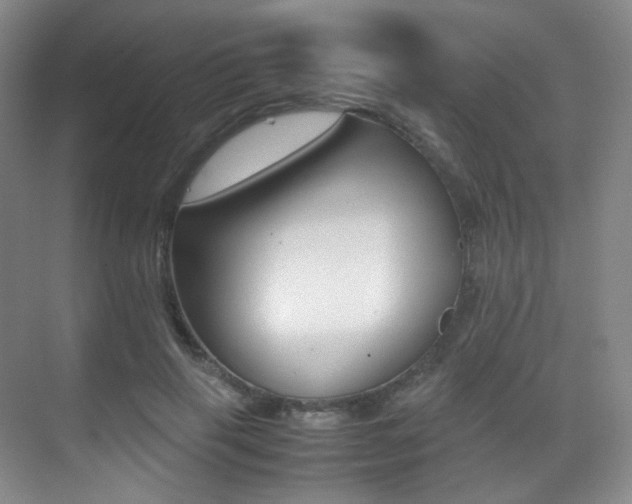 X0000070250645200606021000