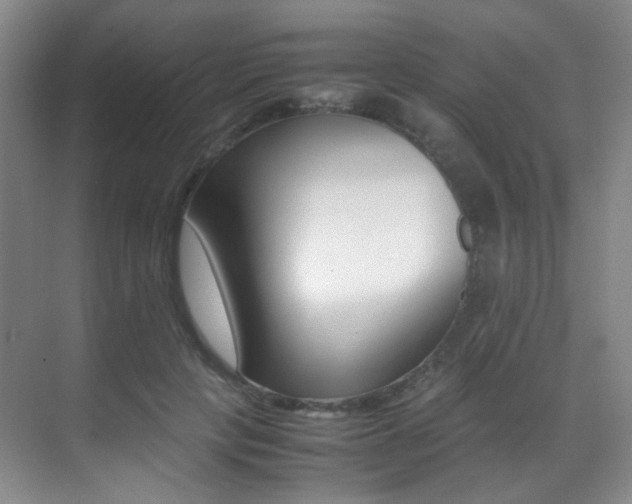 X0000070250649200606021000