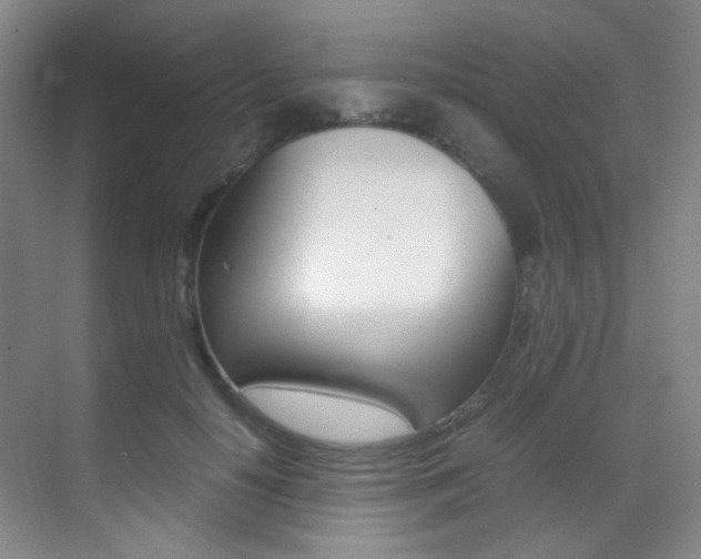 X0000070250650200606021000
