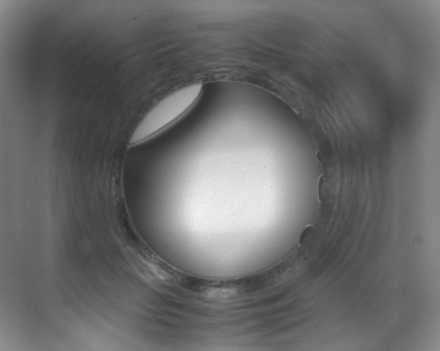 X0000070250653200606021000