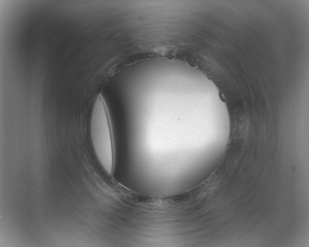 X0000070250656200606021000