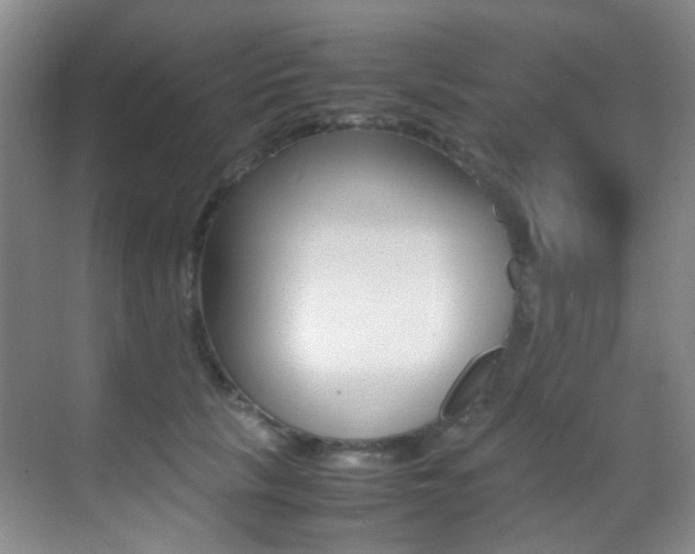 X0000070250657200606021000
